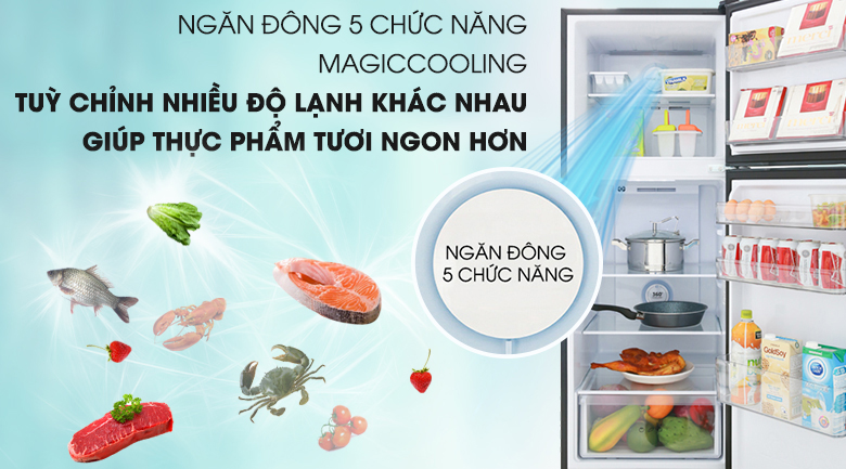 Ngăn đông 5 chức năng